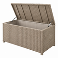 Garten-Aufbewahrungsbox 120 x 50 x 60 cm Polyrattan Beige mit Gasdruckfedern